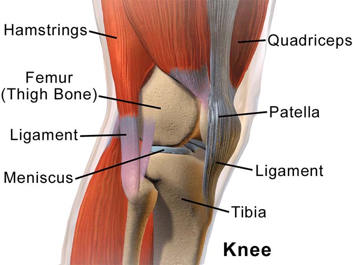 Chiropractic Staten Island NY Chronic Knee Pain